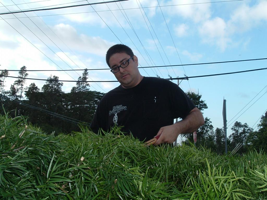 Pahoa Auto Parts Pahoa HI 96778 8089658622 Auto Parts